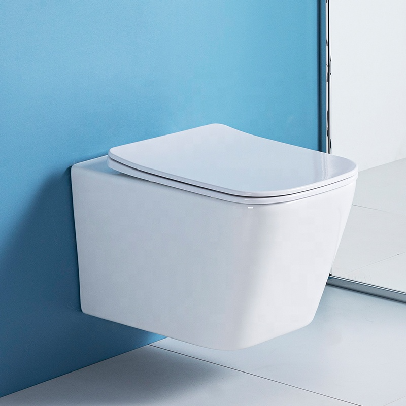 Vas WC suspendat W202, capac duroplast cu amortizor