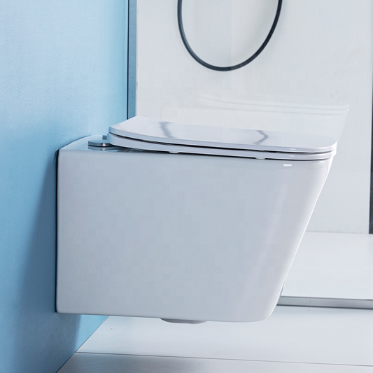 Vas WC suspendat W202, capac duroplast cu amortizor