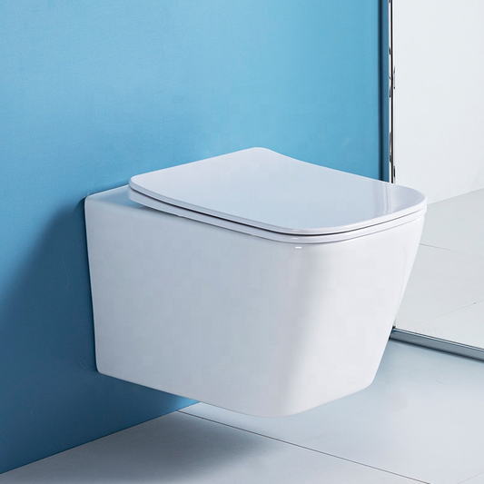 Vas WC suspendat W202, capac duroplast cu amortizor